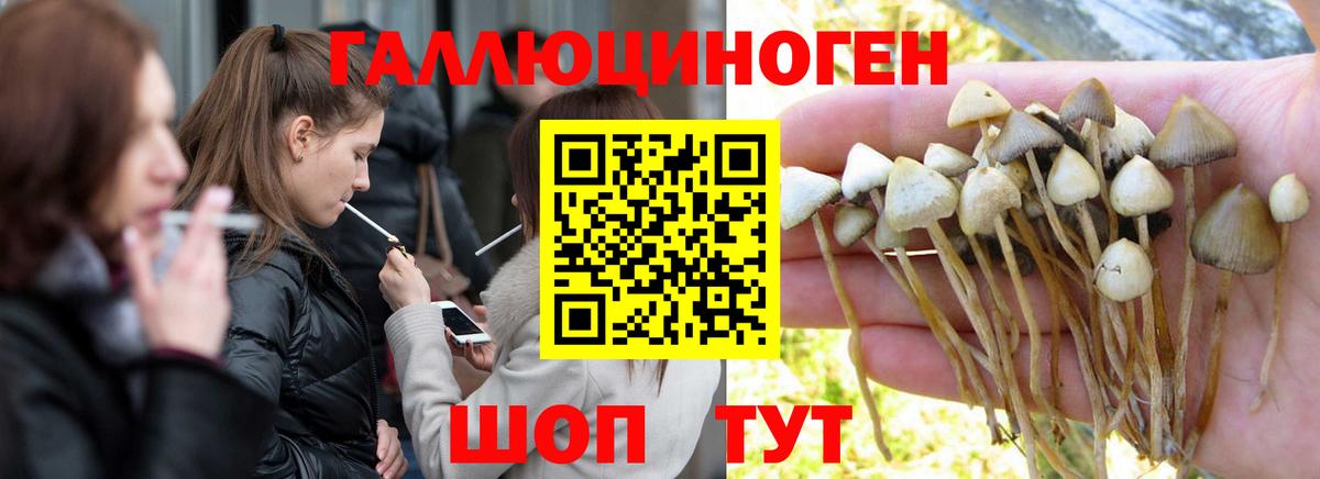 Галлюциногенные грибы мухоморы Сургут