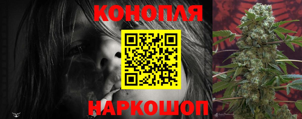 Марихуана гибрид Сургут
